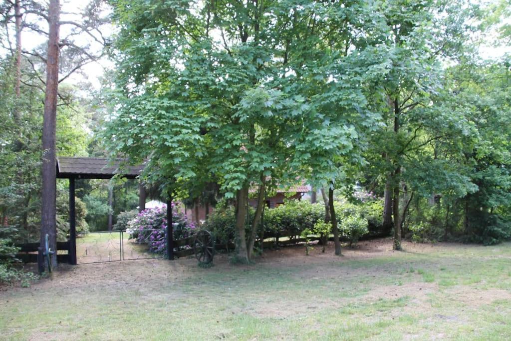 Ferienhaus Am Waldesrand Hatten Exterior foto